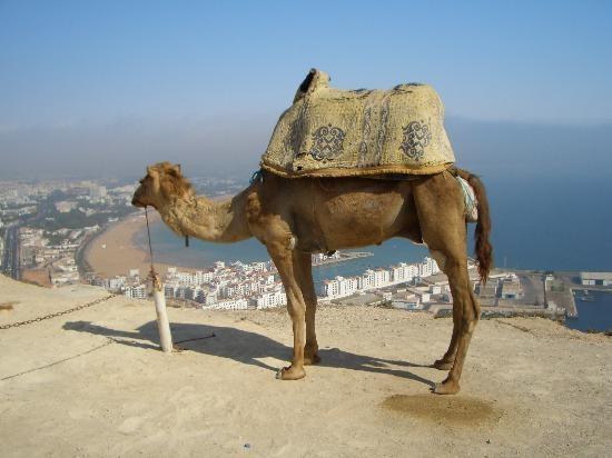 Dar Diafa Agadir Exterior foto